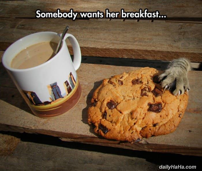 someone wants her breakfast funny picture