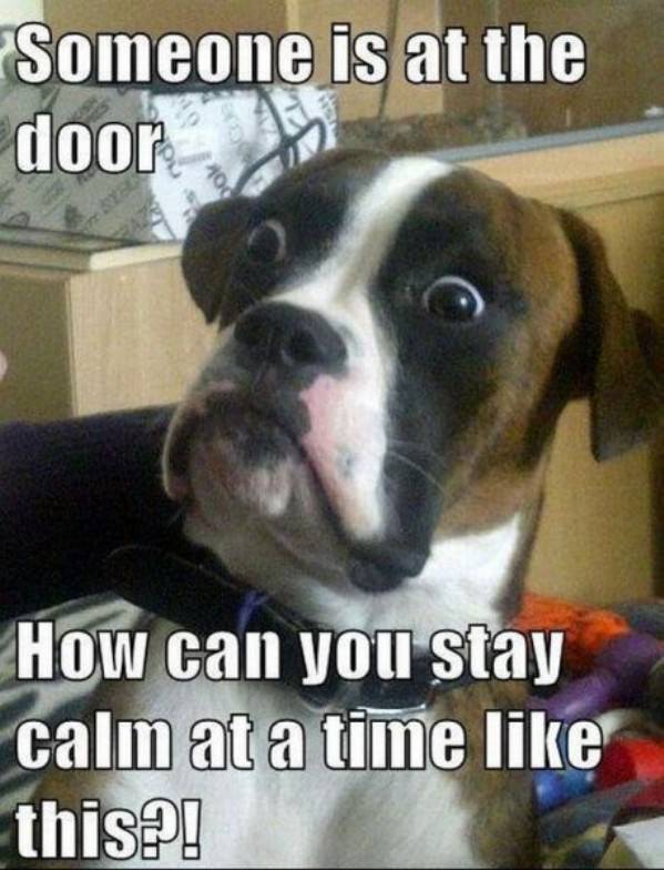 Someones At the Door funny picture