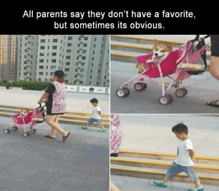 sometimes it is obvious