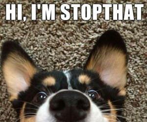 sometimes they call me