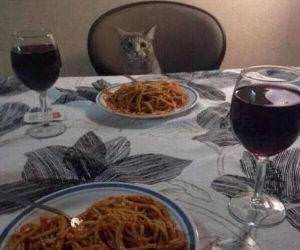 sometimes funny picture