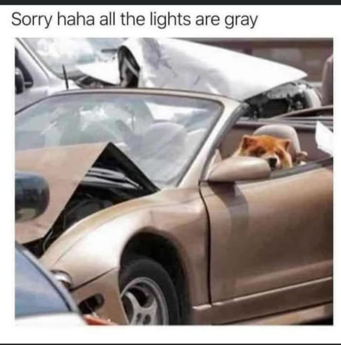 sorry all the lights are grey