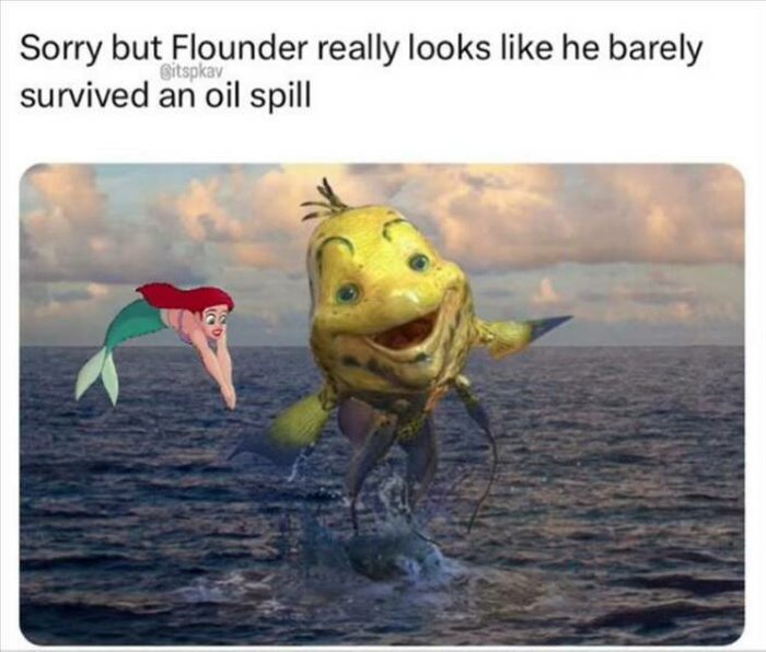sorry but flounder
