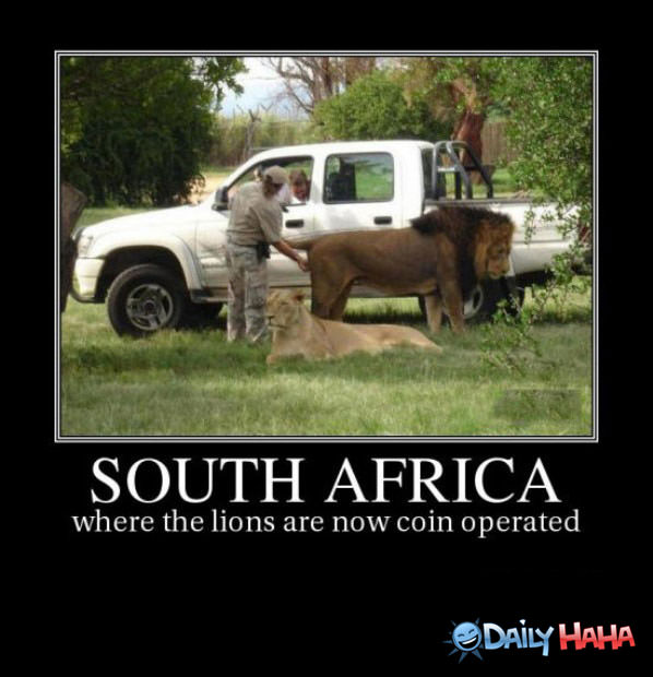 South Africa funny picture