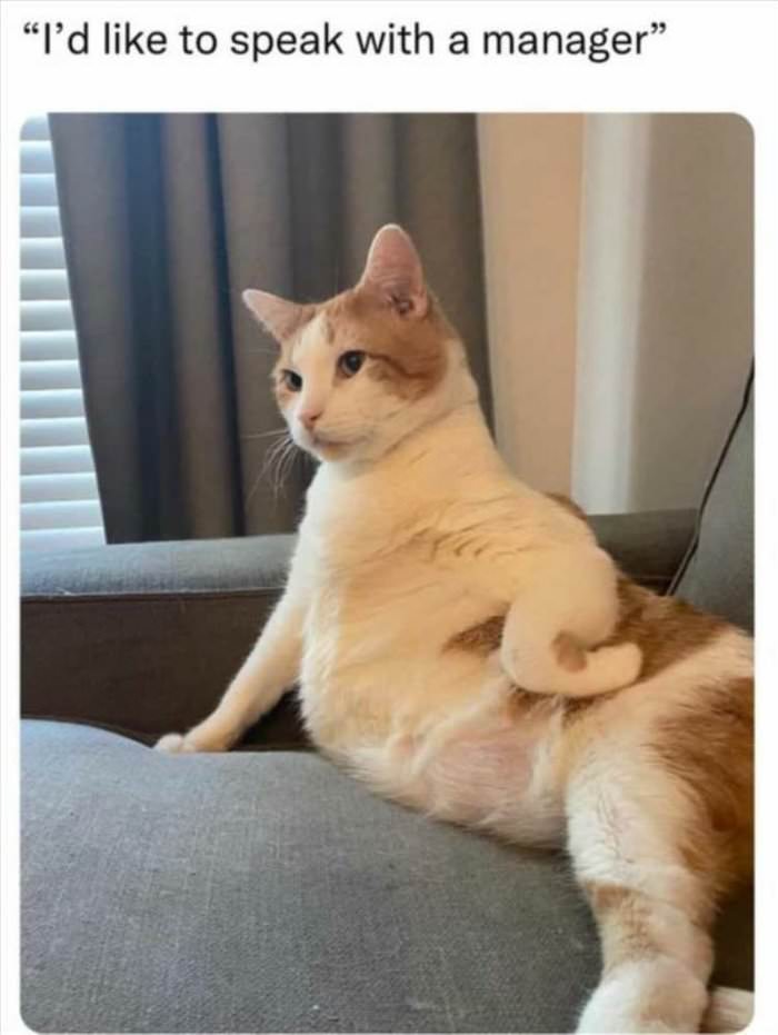 speak to the manager ... 2