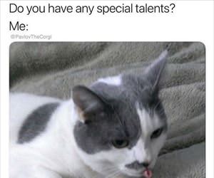 special talents ... 2