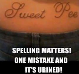 spelling matters
