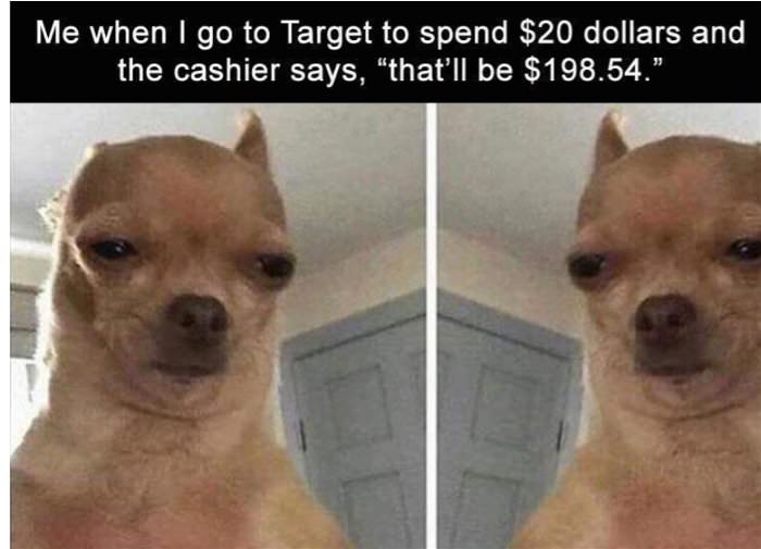 spending 20 bucks at target