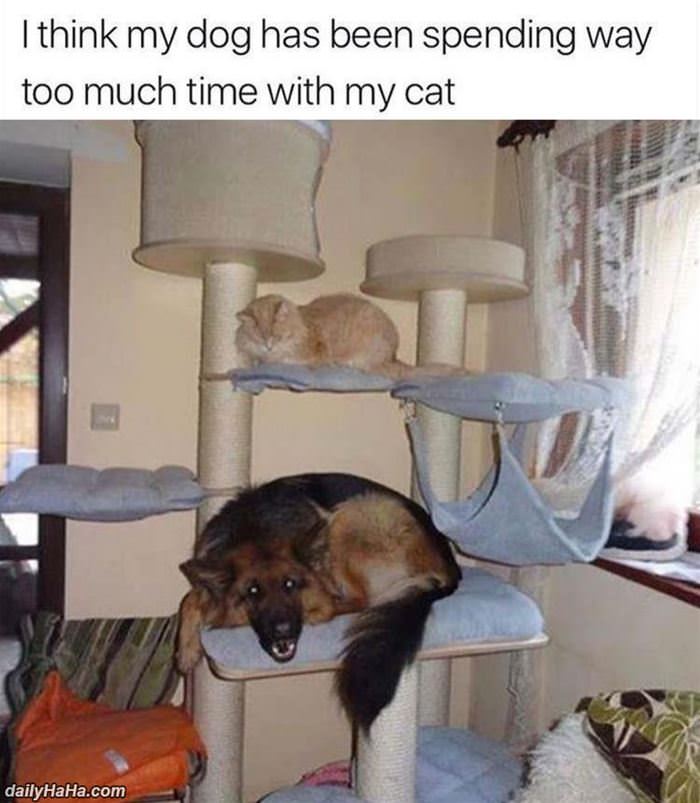 spending too much time funny picture