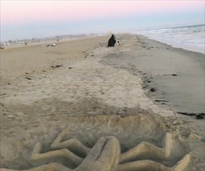 spider sand man