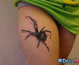 Spider Tattoo funny picture