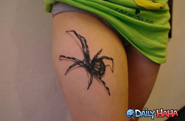 Spider Tattoo funny picture