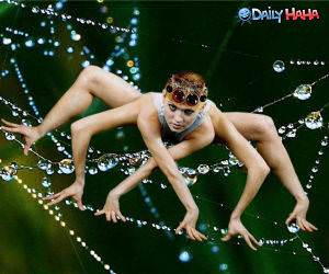 Spider Chick Cool Pic