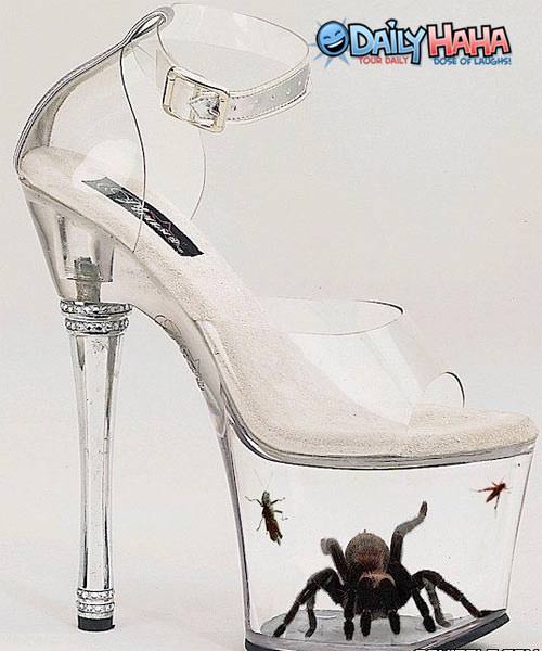 Spider Shoe