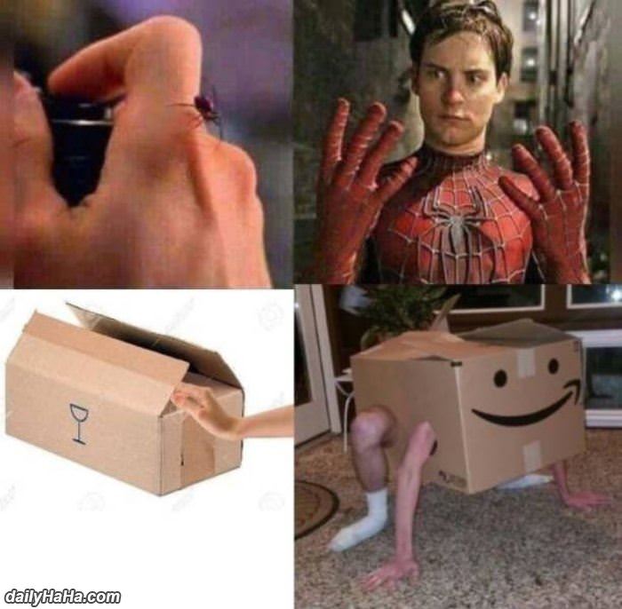 spiderman vs boxman funny picture