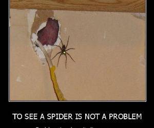 See A Spider funny picture