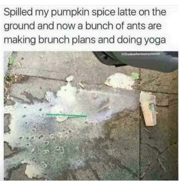 spilled my pumpkin spice
