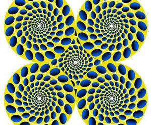 Spinning Circles Illusion
