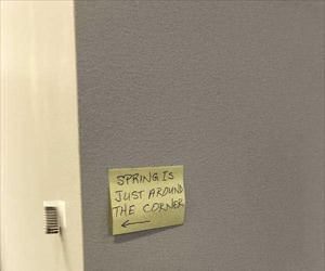 spring is right around the corner