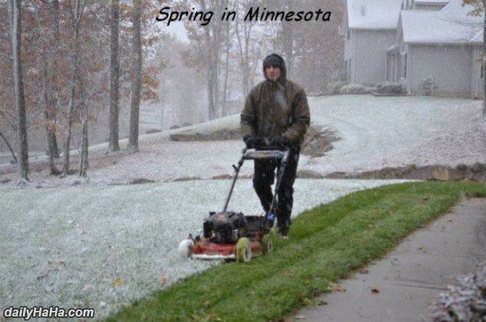 spring in minnesota funny picture