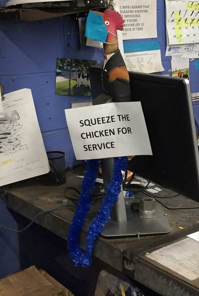 squeeze for service