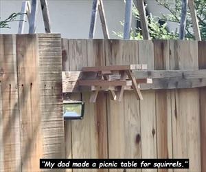 squirrel picnic table
