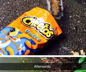 squirrel stealing cheetos funny picture