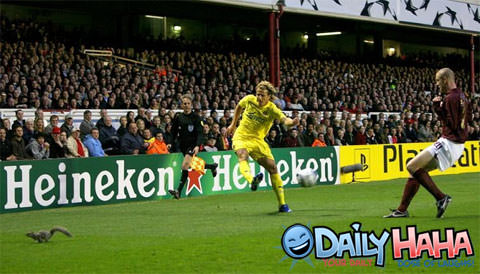 Additional Soccer Player