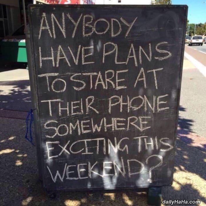 staring at the phone funny picture