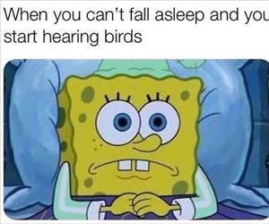 start falling asleep