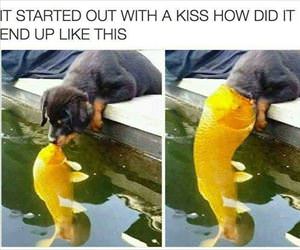 started with a kiss