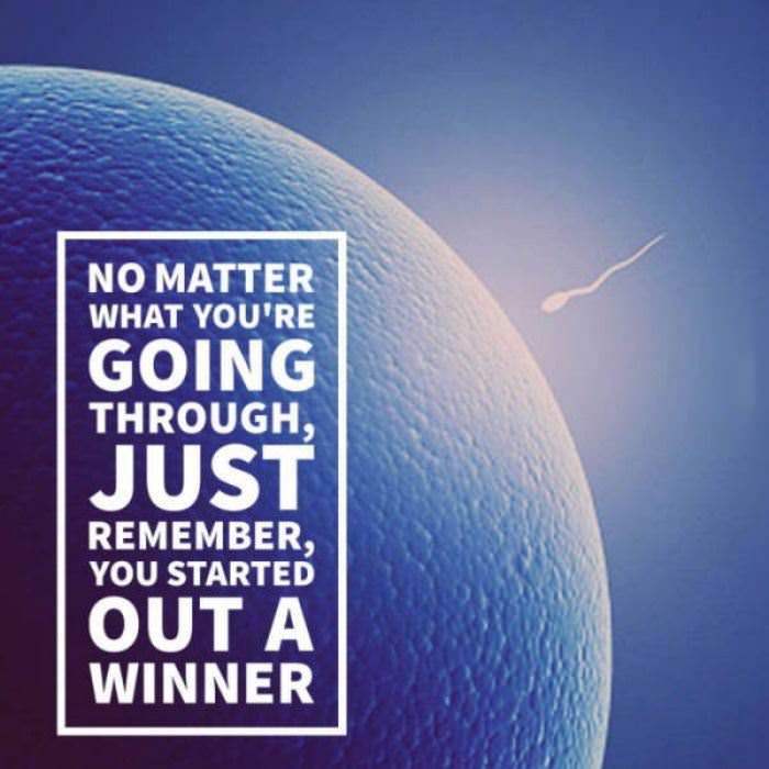 started a winner funny picture