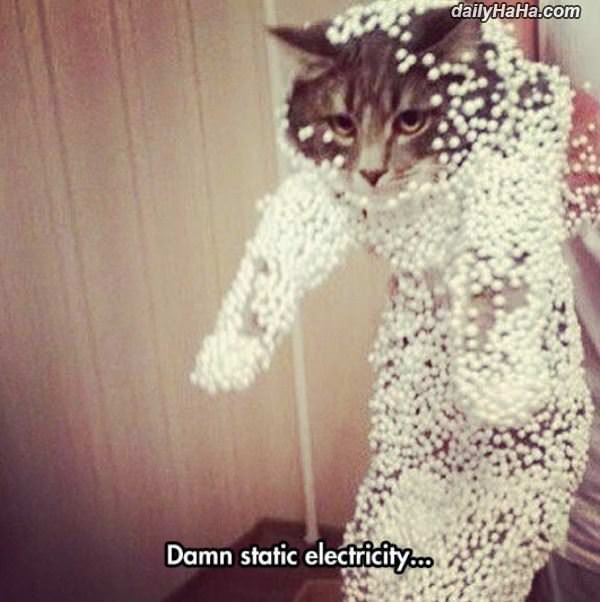 static electricity funny picture