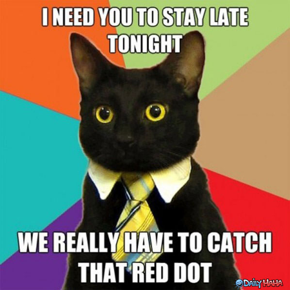 Stay Late Tonight funny picture