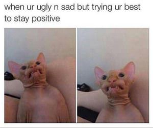 stay positive funny picture