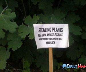 Stealing Plants funny picture