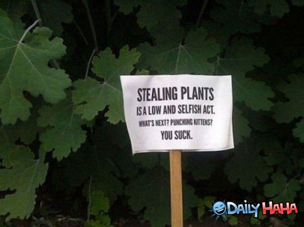 Stealing Plants funny picture