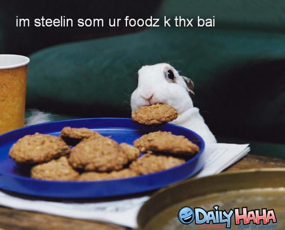 Stealin som Foodz K