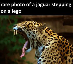 stepped on a lego ... 2