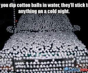 Cotton Balls funny picture