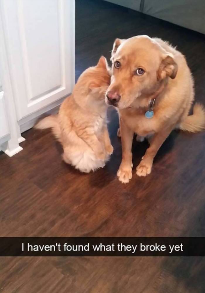 still looking for it