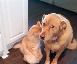 still looking for it