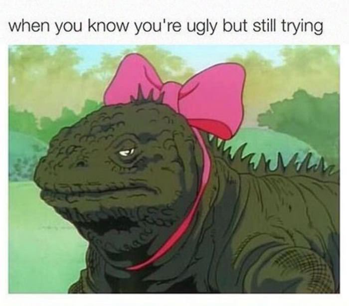 still trying funny picture