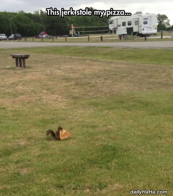 stole my pizza funny picture