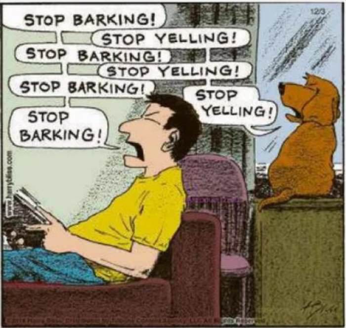 stop barking