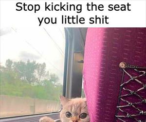 stop kicking the seat