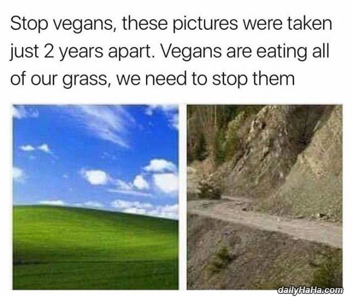 stop vegans funny picture