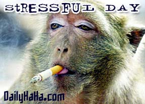 Stressing days