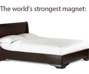 strongest magnet funny picture