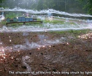 struck by lightning ... 2
